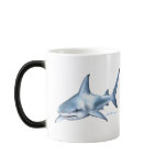 Shark Collection by FishTs.com