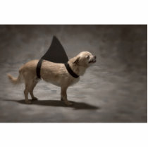 Shark Dog II Photo Sculpture