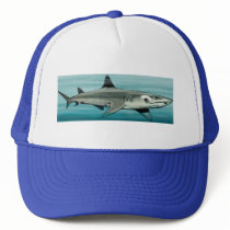 Shark hats