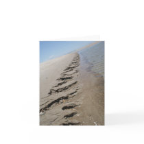 Shark Island  North Carolina Outer Banks cards