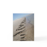 Shark Island  North Carolina Outer Banks cards