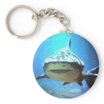 Shark Keychain