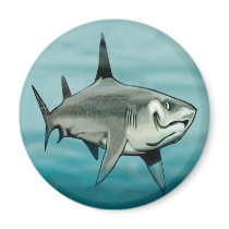 Shark magnets