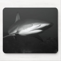 Shark mousepads