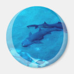 Shark Pair Magnet