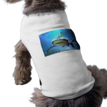 Shark Pet Shirt