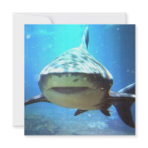 Shark Photo Invitation