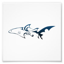 Shark Photo
