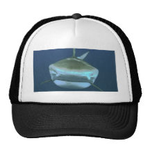 Shark pic mesh hats