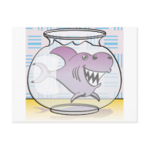 Shark postcards