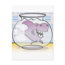 Shark postcards