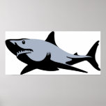 Shark Print