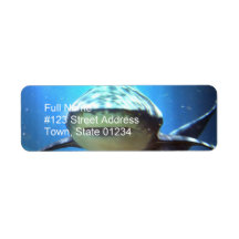 Shark Return Address Label