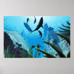 shark SHARKS Posters