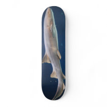 Shark Skateboard