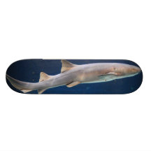Shark Skateboard