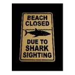 shark spotted post cards