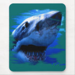 Shark Styles by FishTs.com