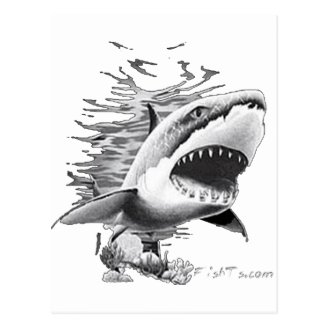Shark Styles by FishTs.com Post Card