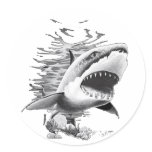 Shark Styles by FishTs.com