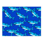 Shark Wallpaper Post Cards