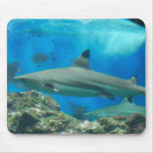 Shark with Reef Mouse Pad