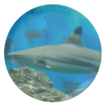 Shark with Reef Plate