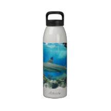 Shark with Reef  Water Bottle