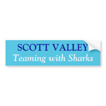 Sharks Bumper Sticker