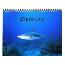 Sharks Calendar 2012