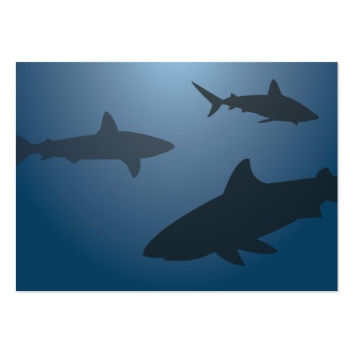 Sharks - Chubby Business Card Template (back side)