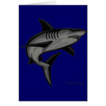 Sharks Collection by FishTs.com