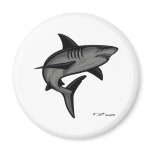 Sharks Collection by FishTs.com