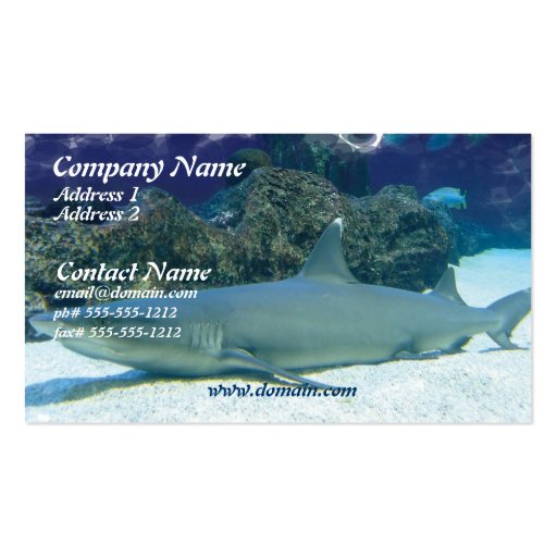Sharks in Coral Reef Business Card