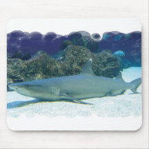 Sharks in Coral Reef Mouse Pad