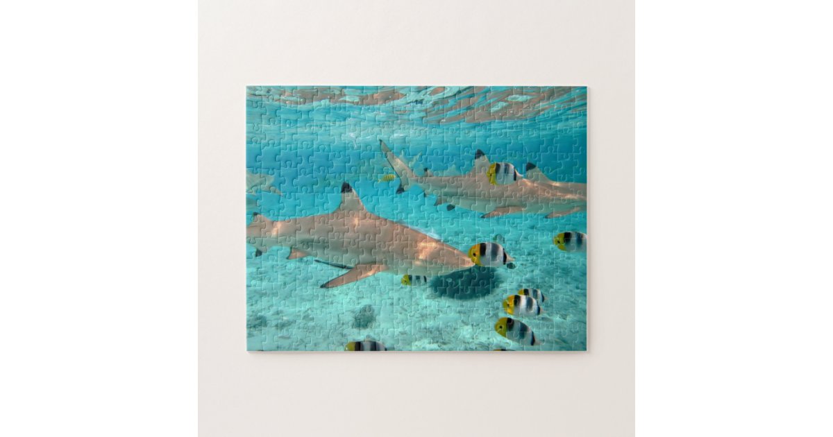 Sharks in the Bora Bora lagoon Jigsaw Puzzle | Zazzle