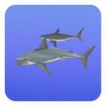 Sharks Sticker