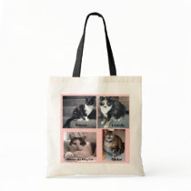 Sharon Dreyers Kitties on a Tote Bag