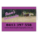 Sharon's Photography Cards