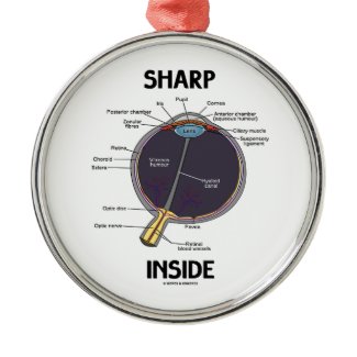 Sharp Eye (I) Inside (Anatomical Eyeball) Christmas Ornament