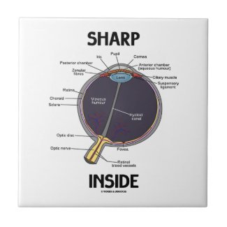 Sharp Eye (I) Inside (Anatomical Eyeball) Ceramic Tiles