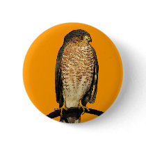 Sharp-Shinned Hawk Pins