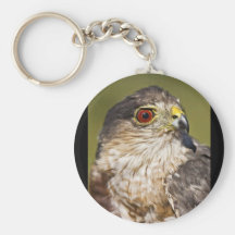 Sharp-shinned Hawk Keychains