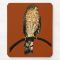 Sharp-shinned Hawk Mouse Pads