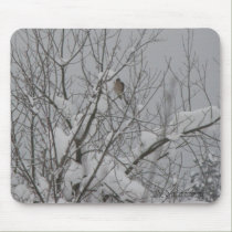 Sharp-Shinned Hawk Mousepad