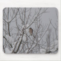 Sharp-Shinned Hawk Mousepad mousepads