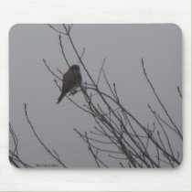 Sharp Shinned Hawk Mousepad mousepads