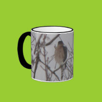 Sharp-Shinned Hawk Mug mugs