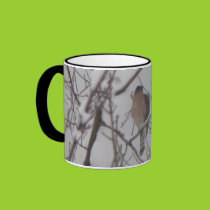 Sharp-Shinned Hawk Mug mugs