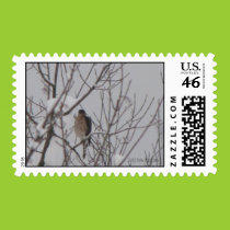 Sharp-Shinned Hawk Postage stamps